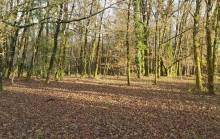 Property for Sale : Building Land in LE BOURDEIX. Price: 18 000 €